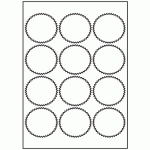 489-12 Starburst Label 65mm x 60mm